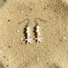 -Boucles d'oreilles étoile de mer, coloris coquillage